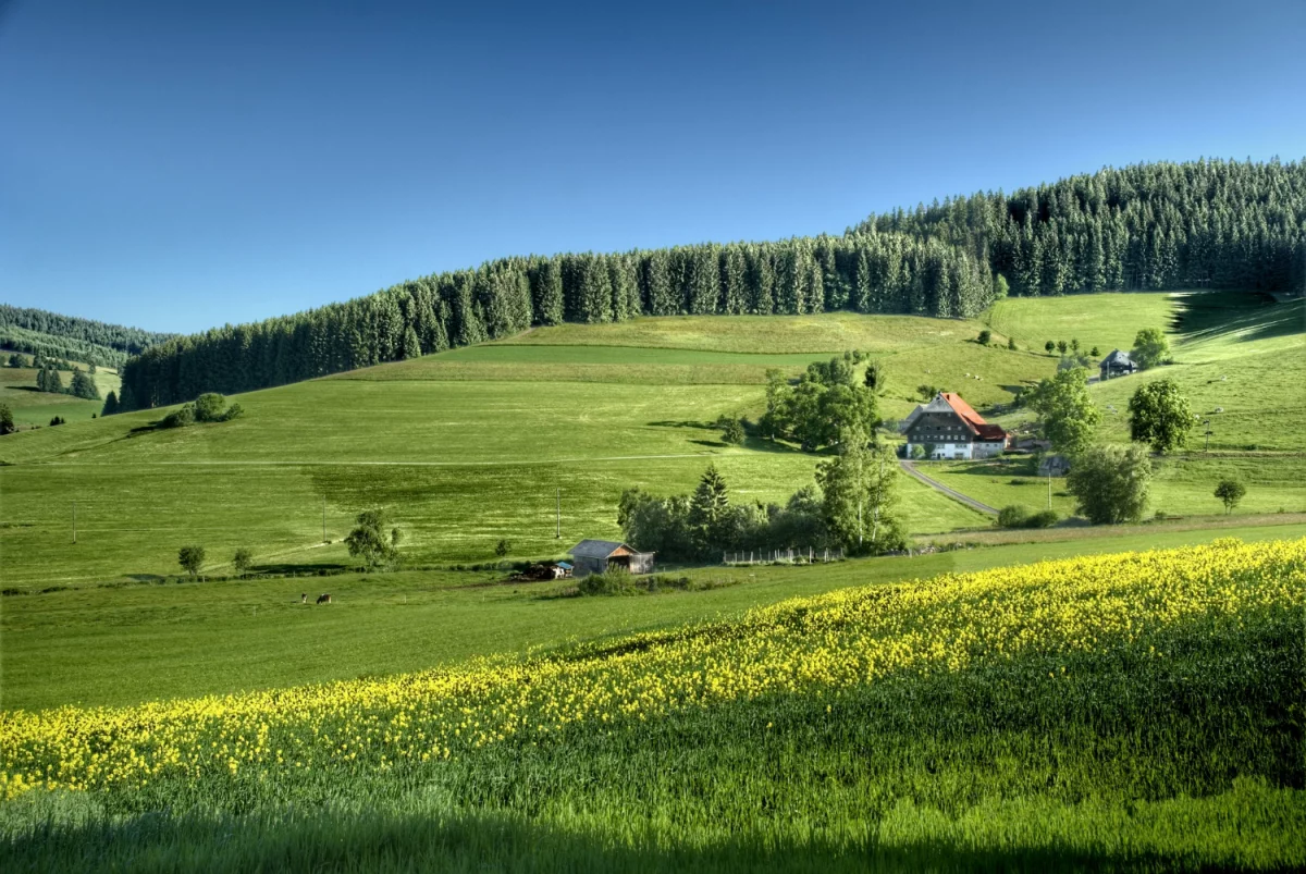 Ile kosztuje reklama w Google Ads? Kompleksowy przewodnik