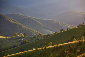 Jak usunąć reklamy z Google Chrome: Praktyczny przewodnik