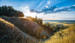 Bezpieczeństwo danych u doradców: jak BDO Austria chroni informacje klientów?