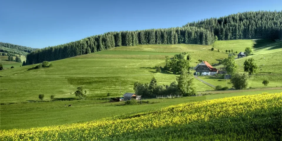 Ile kosztuje reklama w Google Ads? Kompleksowy przewodnik