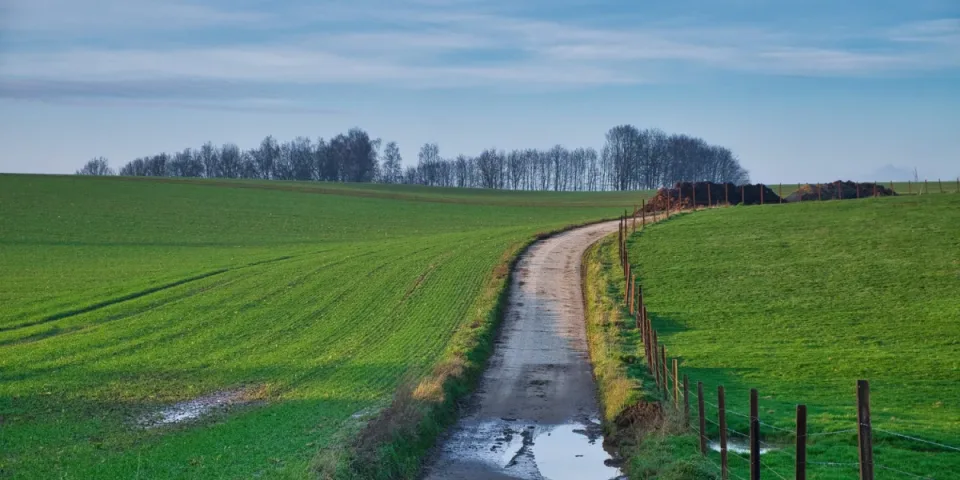 Jak wyłączyć reklamy w Polsat Go – Praktyczny przewodnik