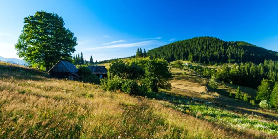 Kto śpiewa w reklamie link4? Odkryj tajemnice muzyki w kampaniach reklamowych
