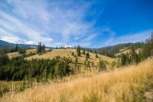 Wizytówka Google a Google Maps: jak trafić na mapie na pierwsze miejsce